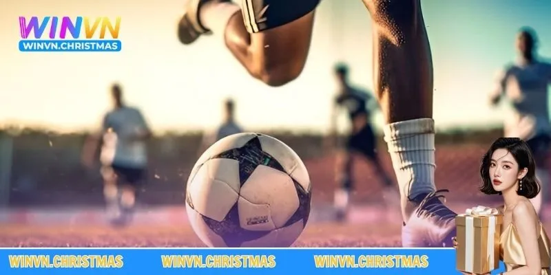 Thông tin về sảnh thể thao WINVN được yêu thích